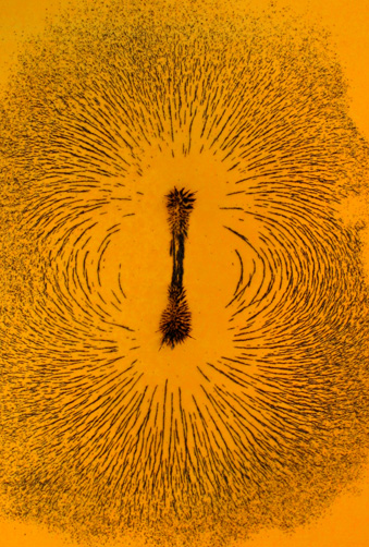 Magnetic field shown by iron filings